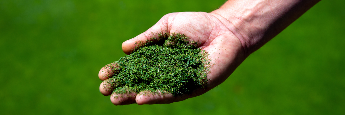 mower clipping for tissue sampling